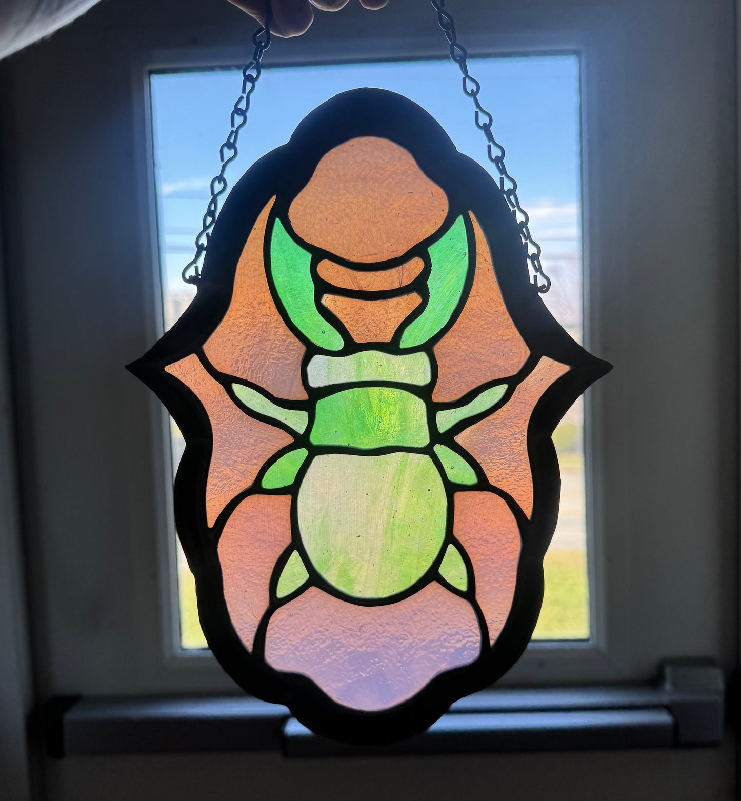 Iridescent Green Beetle