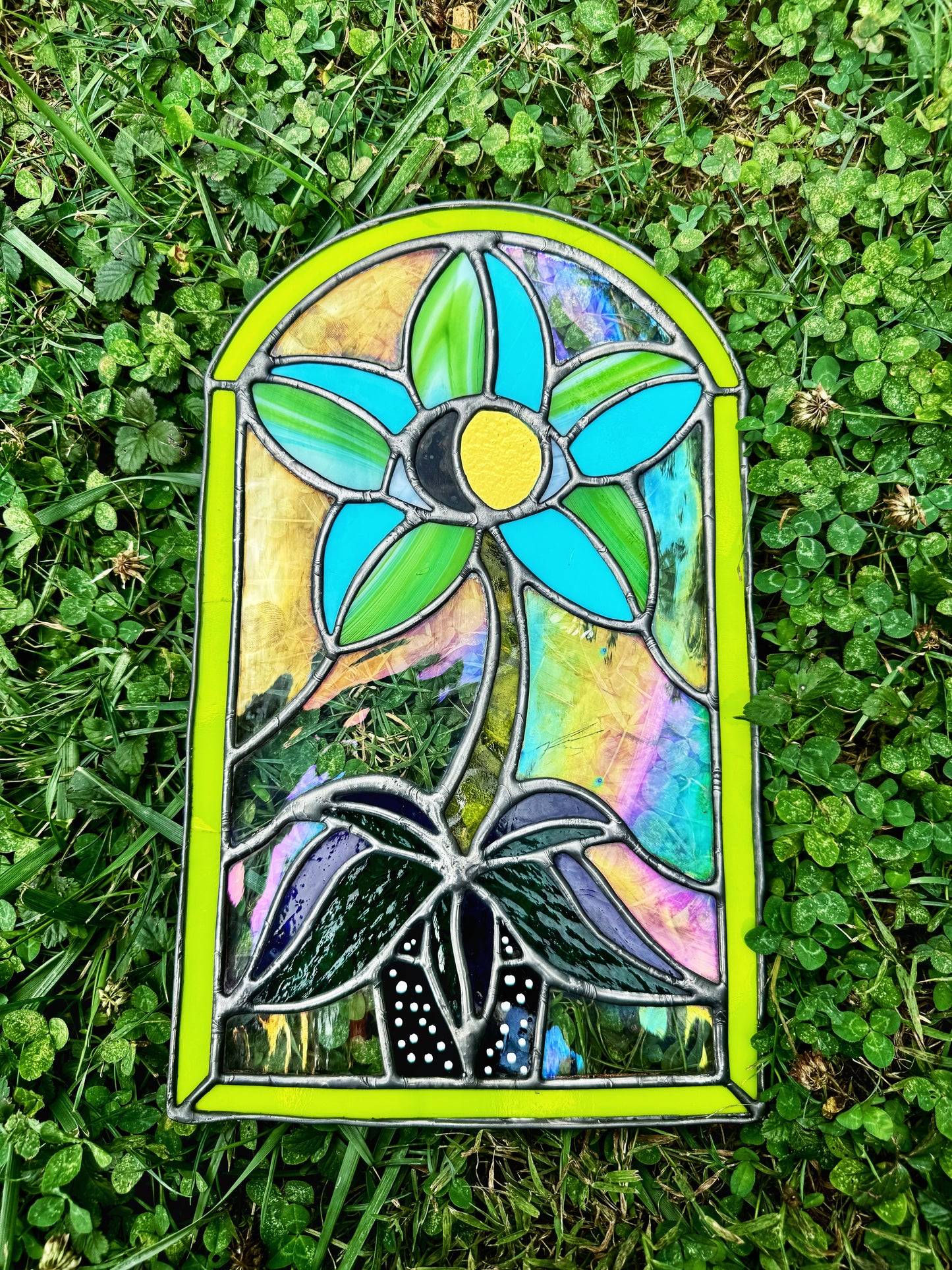 Eye Plant