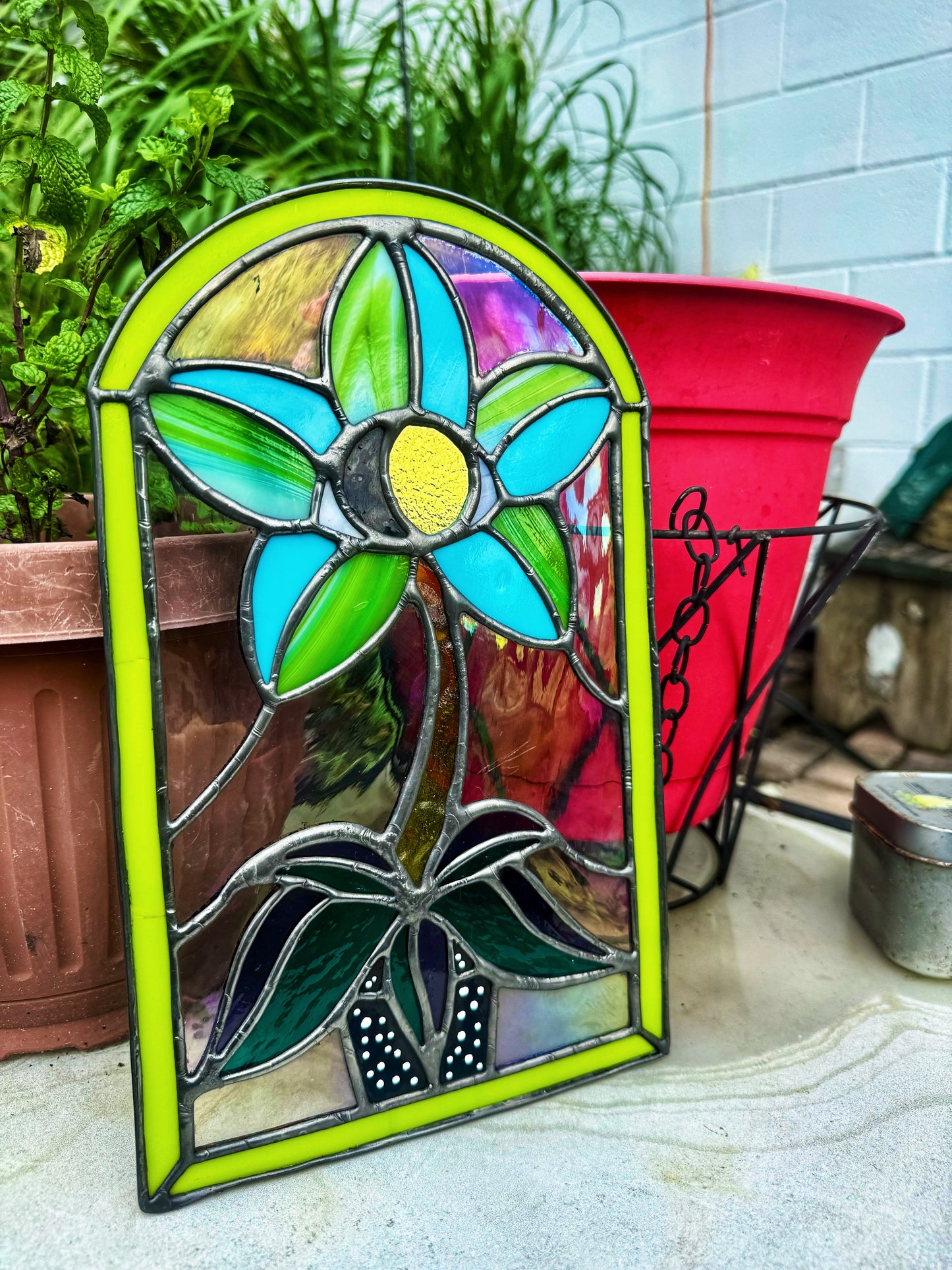 Eye Plant