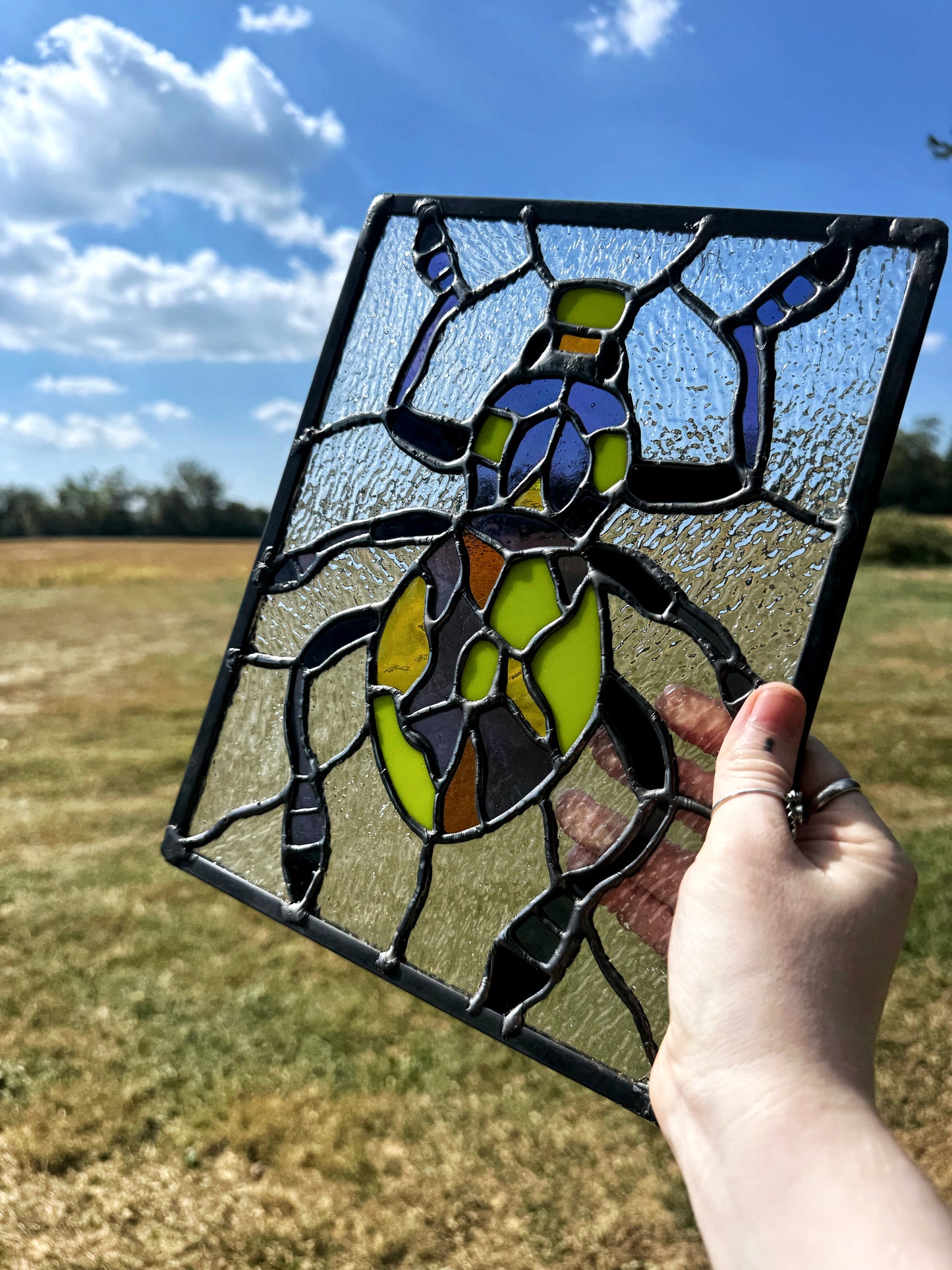 Small Weevil Panel