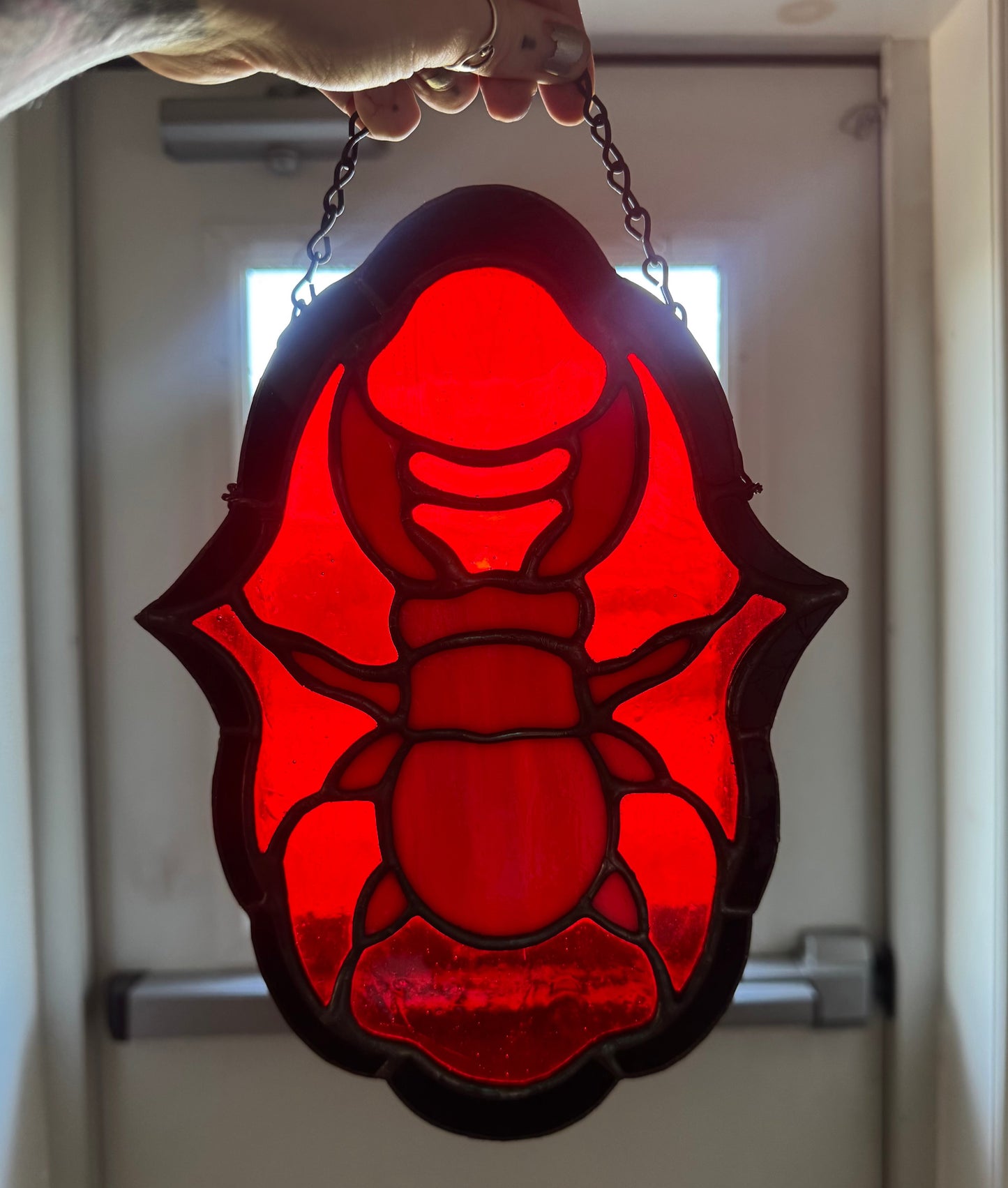 Red Beetle