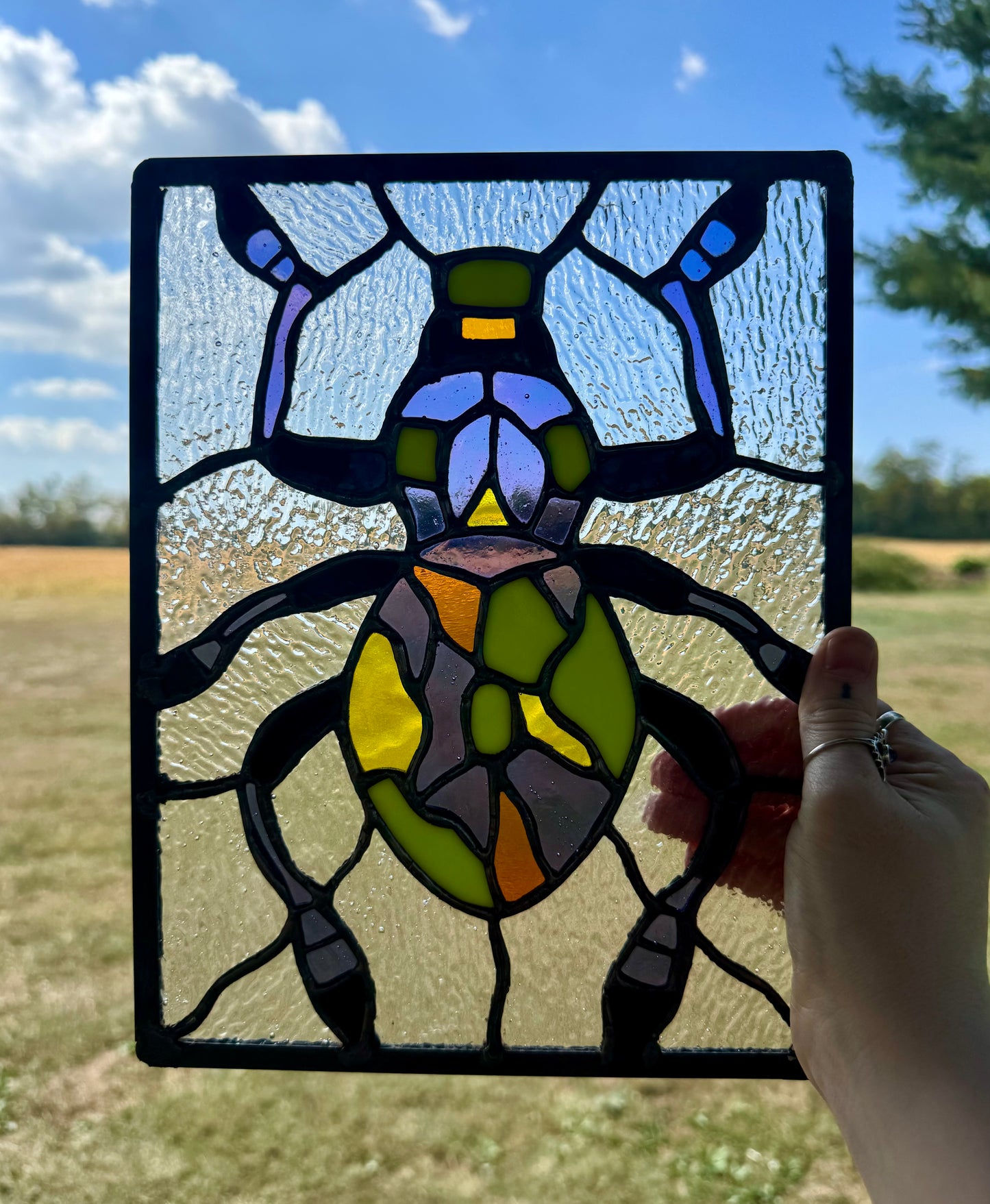 Small Weevil Panel