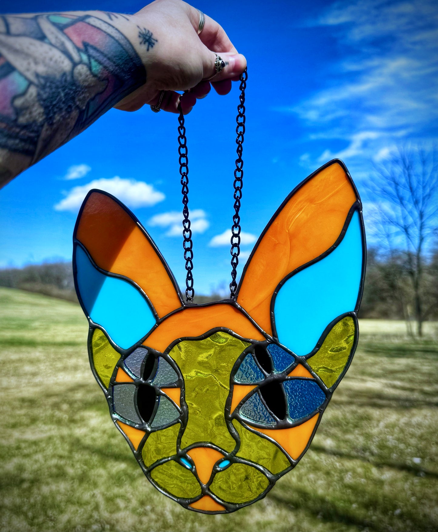 Four-Eyed Sphynx