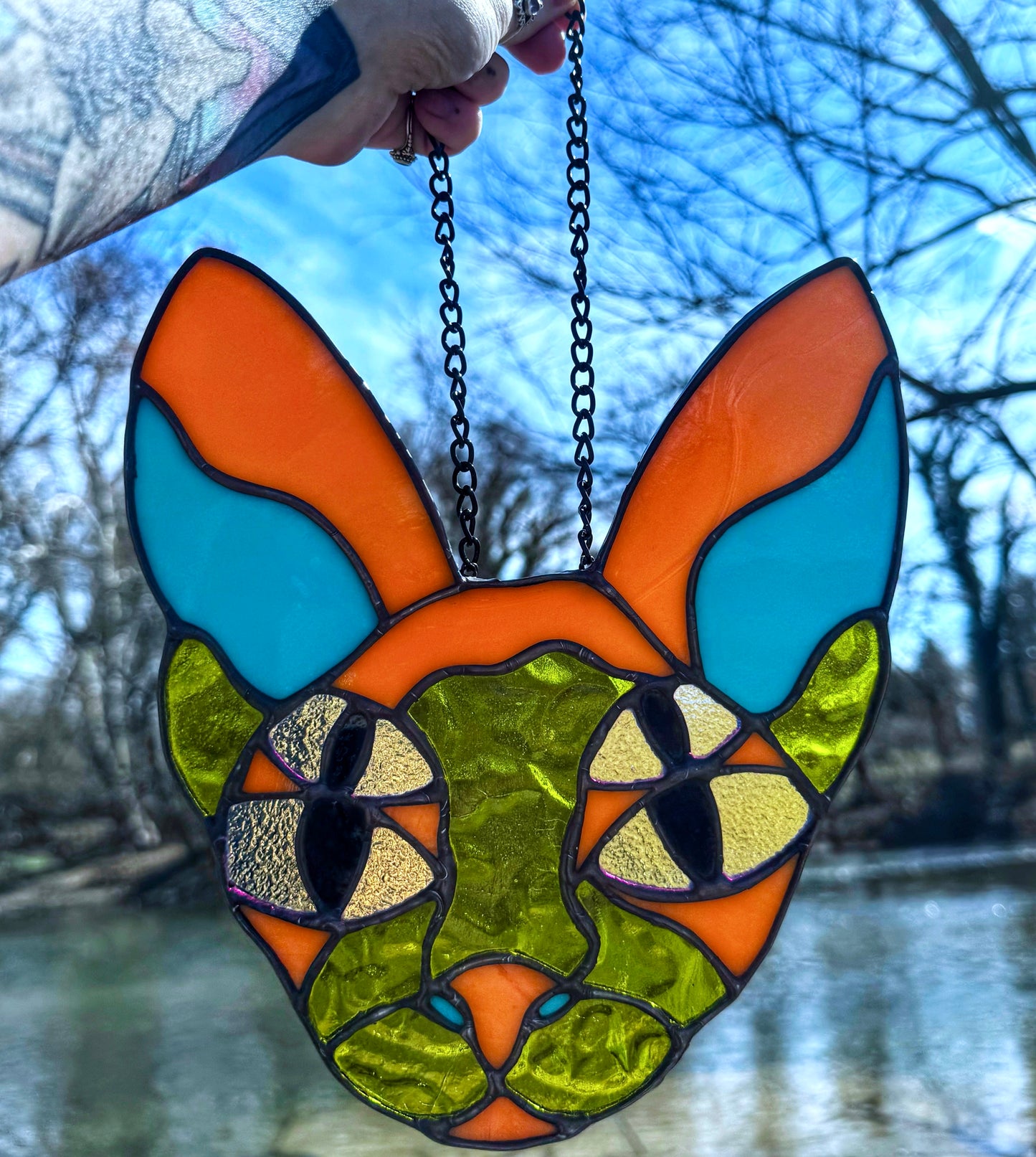 Four-Eyed Sphynx