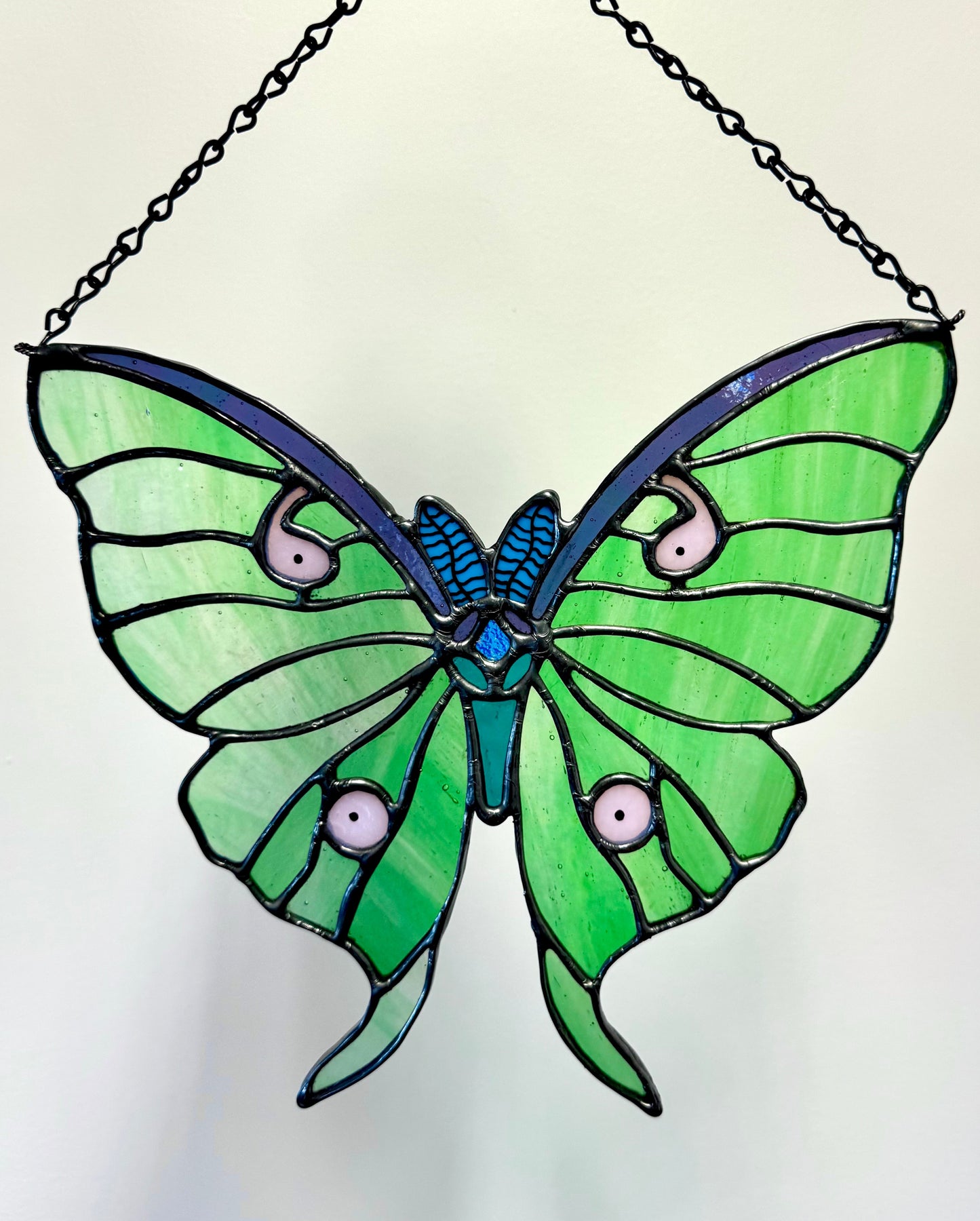 Luna Moth