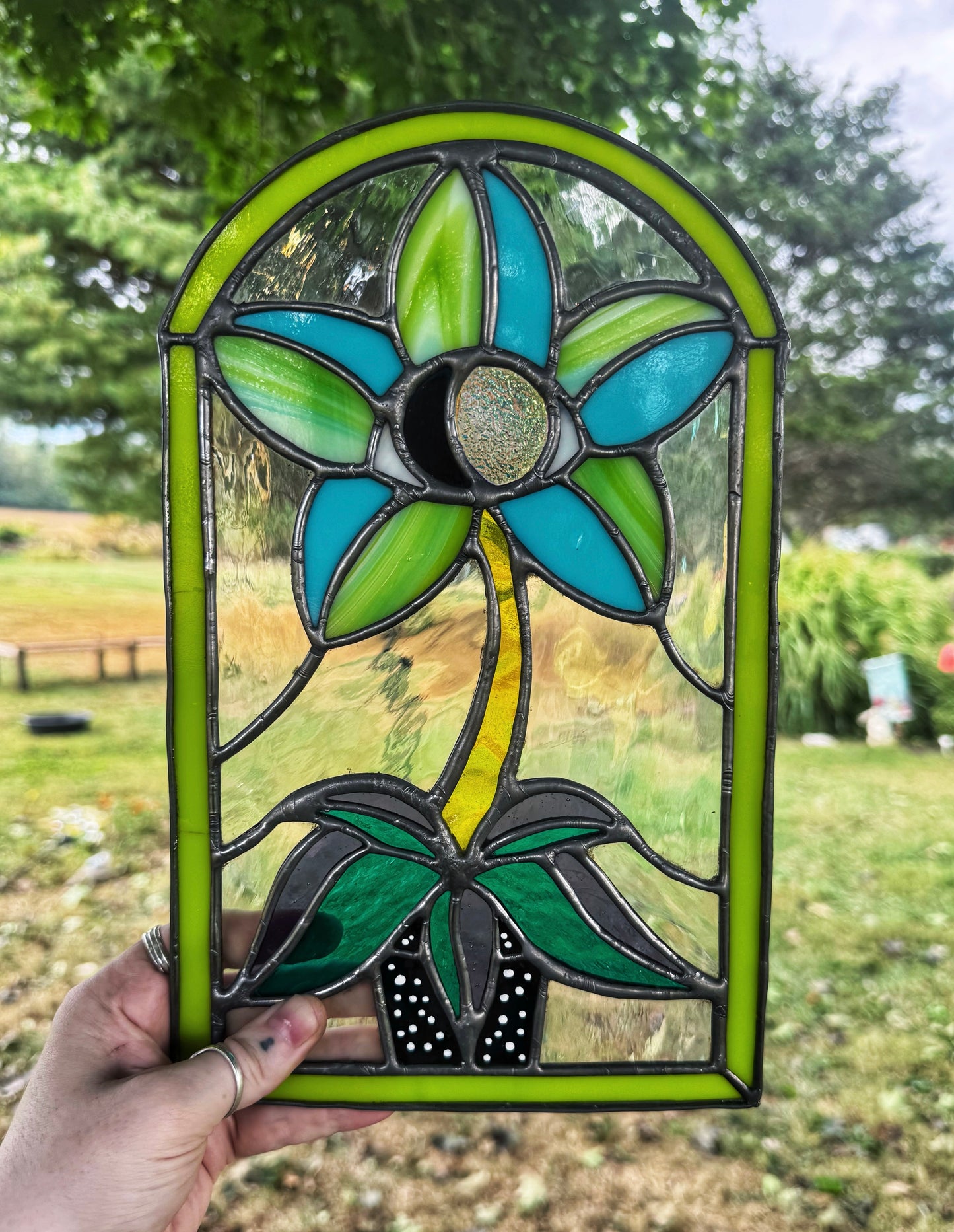 Eye Plant