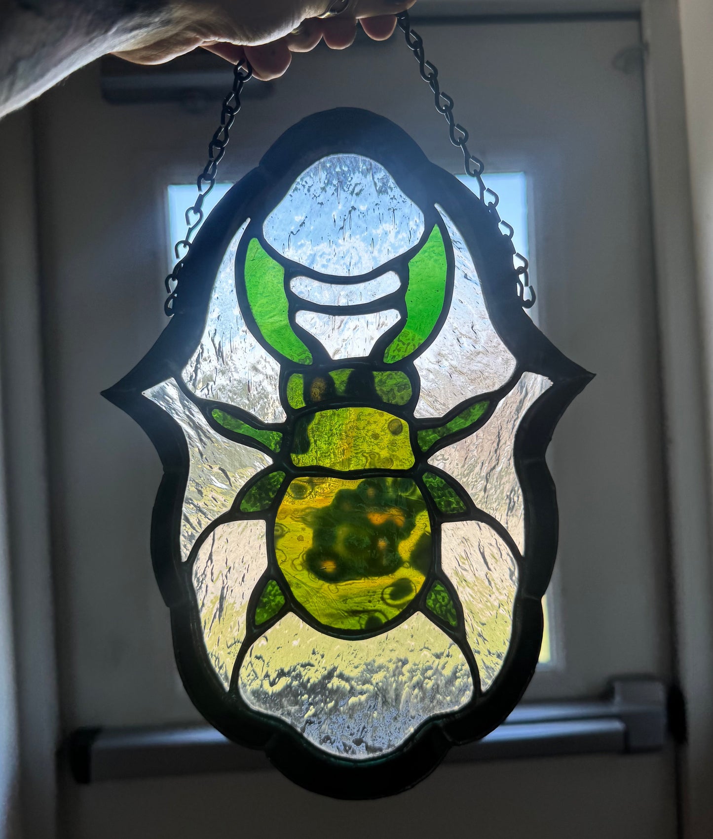 Spotted Green Beetle