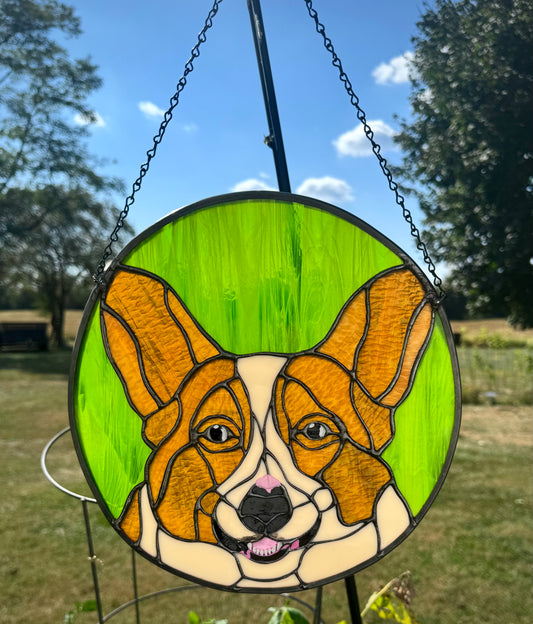 Corgi Dog Portrait